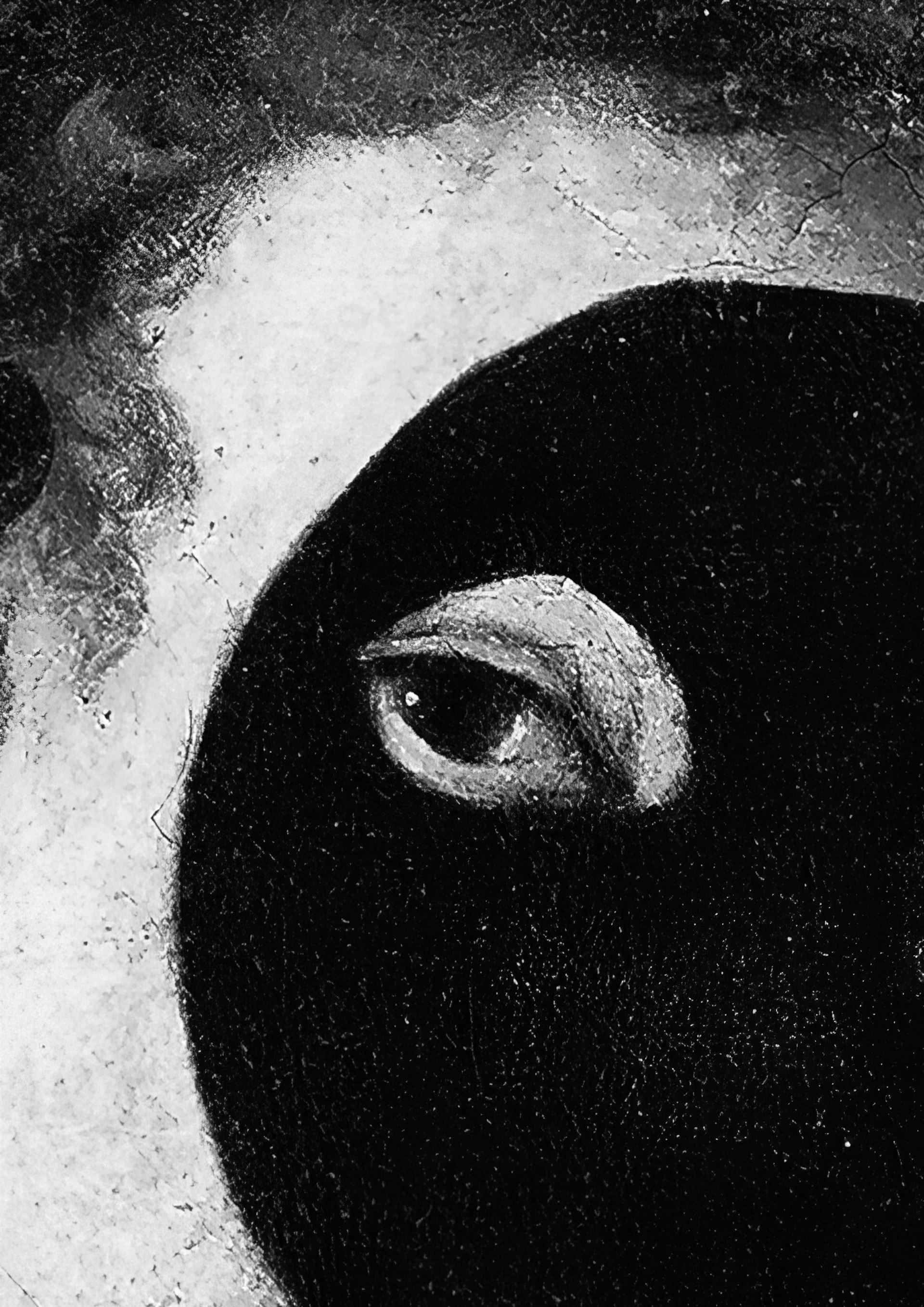 Nuova Generazione. Sguardi contemporanei sugli Archivi Alinari