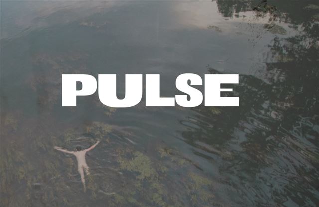 PULSE
