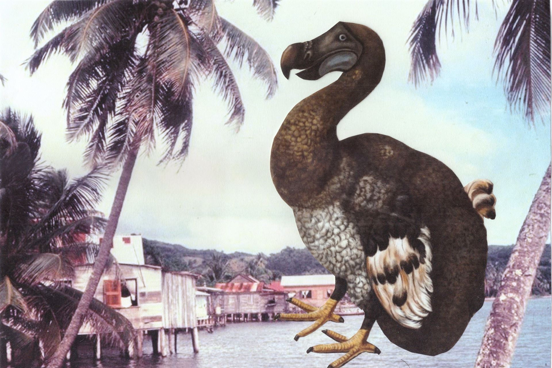 Esercizio di riconoscimento ecosistemi e animali estinti. Collage Shibboleth.